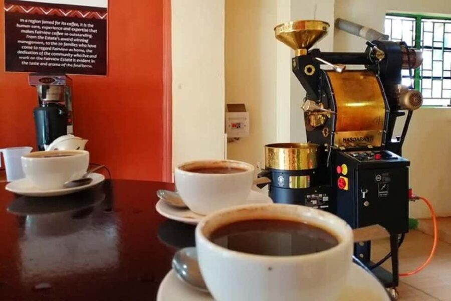 Nairobi: Coffee Factory and Farm Tour - Visiting the Coffee Farm and Factory