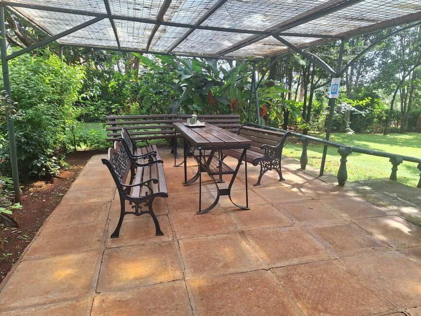 Nairobi Coffee Farm and Factory Tour - The Value of the Tour