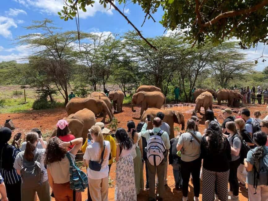 Nairobi; David Sheldrick Elephant Trust Half Day Tour - FAQ