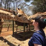 Nairobi: David Sheldrick, Giraffe Centre, and Blixen Tour - Who Should Take This Tour?
