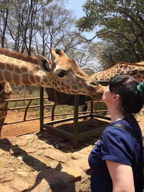 Nairobi: David Sheldrick, Giraffe Centre, and Blixen Tour - Who Should Take This Tour?