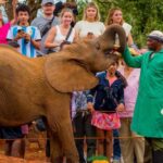 Nairobi: Elephant Orphanage Trust and Giraffe Center Tour - Authentic Experiences and Real Reviews