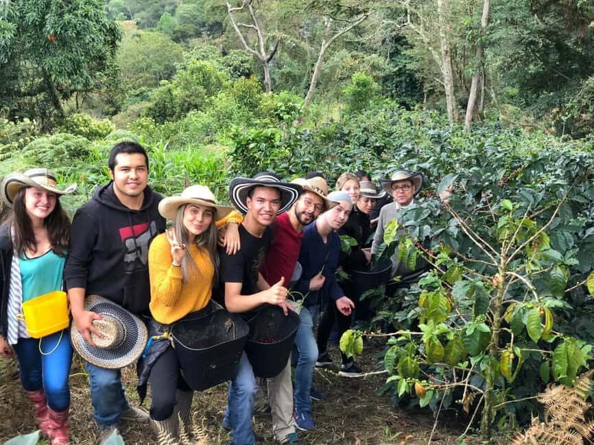 Nairobi: Fairview Coffee Estate Guided Tour with Tasting - Final Thoughts