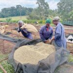Nairobi: Fairview Coffee Estate Tour with Coffee Tasting - Who Would Love This Experience?