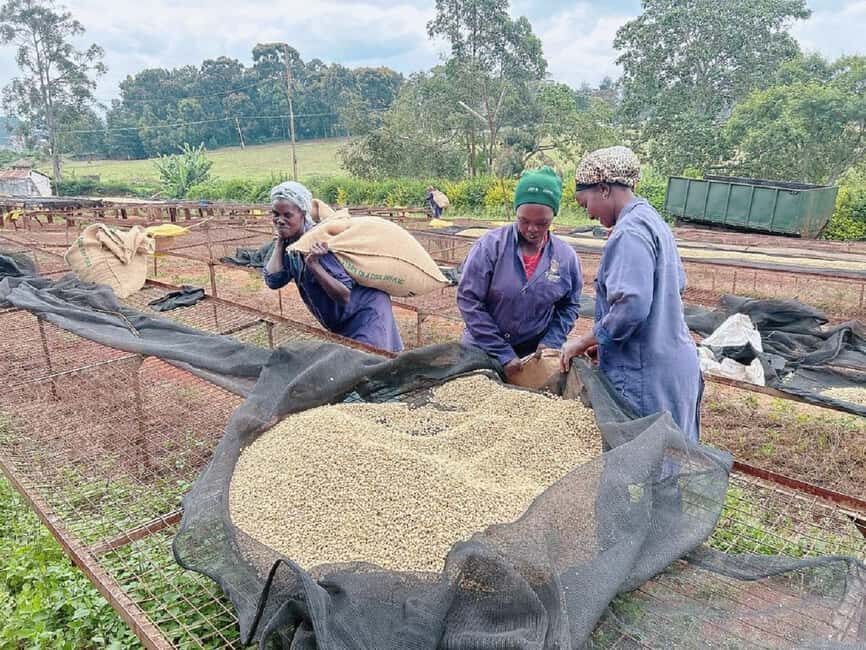 Nairobi: Fairview Coffee Estate Tour with Coffee Tasting - Who Would Love This Experience?