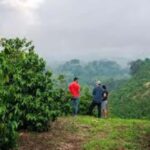 Nairobi: Fairview Coffee Estate Tour with Pickup - Who Will Love This Experience?