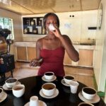 Nairobi: Fairview Coffee Estate Tour with Transfers - An In-Depth Look at the Fairview Coffee Estate Tour
