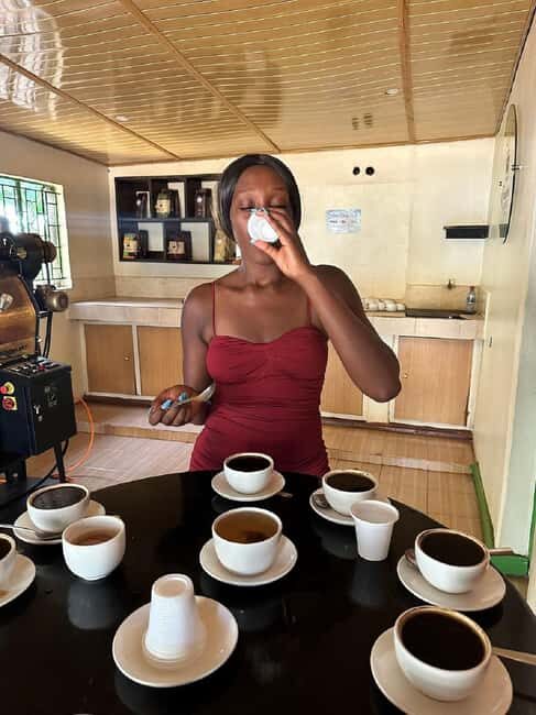 Nairobi: Fairview Coffee Estate Tour with Transfers - An In-Depth Look at the Fairview Coffee Estate Tour