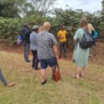 Nairobi: Fairview Coffee Farm Day Trip with Hotel Pickup - Practical Tips for Making the Most of Your Tour