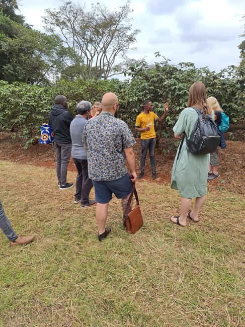 Nairobi: Fairview Coffee Farm Day Trip with Hotel Pickup - Practical Tips for Making the Most of Your Tour