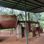 Nairobi Giraffe Center Tour with Karen Blixen & Kobe Beads" - Authentic Insights from Reviews