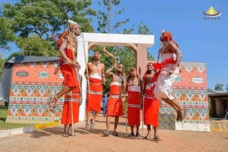 Nairobi: Guided Afternoon Tour to Bomas of Kenya. - What to Expect on the Tour
