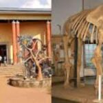 Nairobi: Guided City Tour with Nairobi National Museum Entry - FAQ