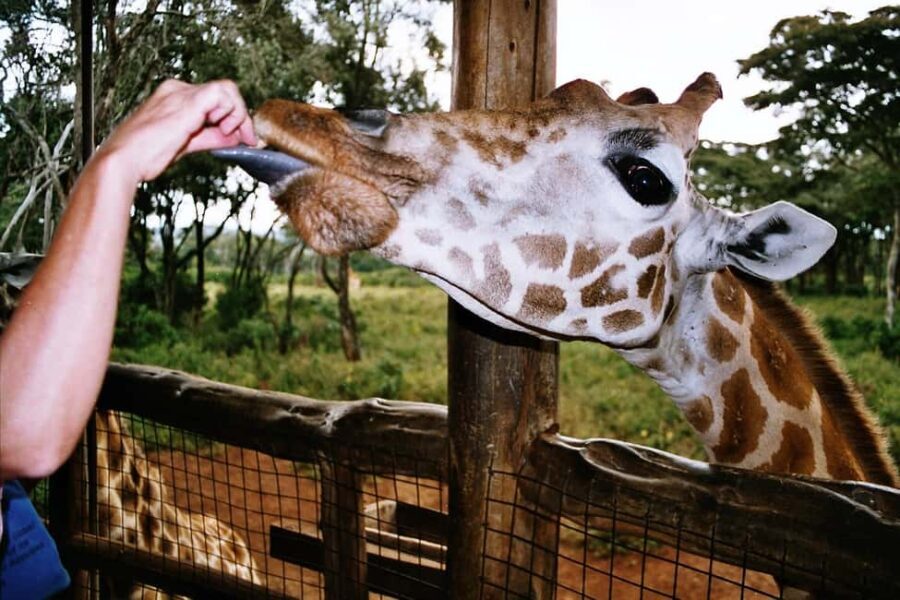 Nairobi Guided Tour to Giraffe Center & Kobe Beads Factory - FAQs