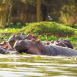 Nairobi: Hell's Gate National Park & Lake Naivasha Boat Ride - The Practicalities: What’s Included and What to Budget