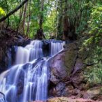 Nairobi: Hidden Waterfalls Hike & Forest Picnic in Karura - The Picnic Experience