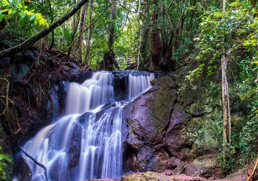 Nairobi: Hidden Waterfalls Hike & Forest Picnic in Karura - The Picnic Experience