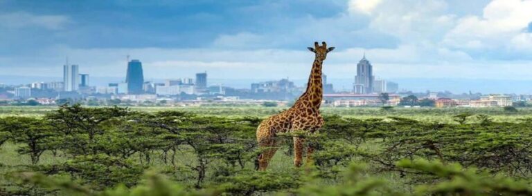 Nairobi: Karen Blixen Museum Experience Tours and Tickets - The Practical Side