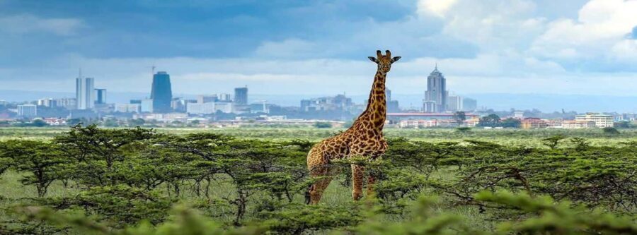 Nairobi: Karen Blixen Museum Experience Tours and Tickets - The Practical Side