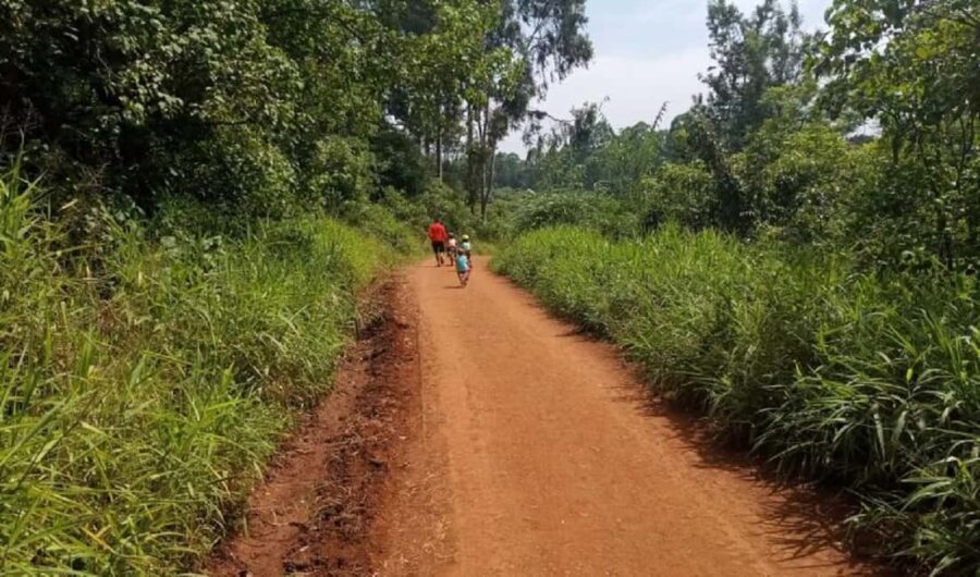 Nairobi: Karura Forest Nature Trail and Hike - What to Expect on the Day