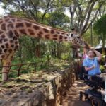 Nairobi: Kazuri Beads Factory Giraffe Center Karen Blixen - Why This Tour Offers Good Value