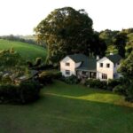 Nairobi: Kiambethu Tea Farm Day Tour with Lunch - What to Expect from the Kiambethu Tea Farm Day Tour