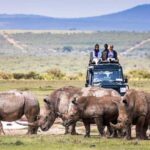 Nairobi: Lake Nakuru National Park - What to Expect on the Tour