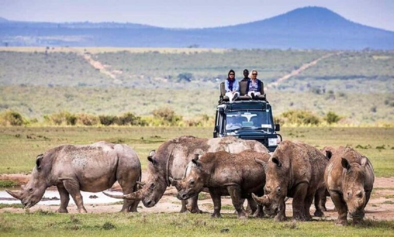 Nairobi: Lake Nakuru National Park - What to Expect on the Tour