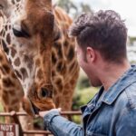 Nairobi: Museum, KICC, Giraffe Centre & Bomas of Kenya Tour - Who Would Love This Tour?