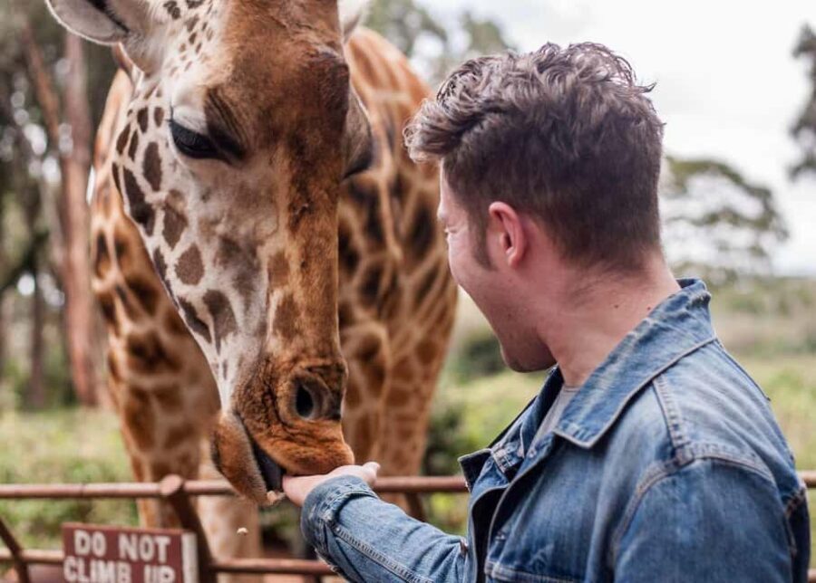 Nairobi: Museum, KICC, Giraffe Centre & Bomas of Kenya Tour - Who Would Love This Tour?