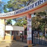 Nairobi : Nairobi National Museum Guided Tour - Why This Tour Works Well