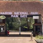 Nairobi: Nairobi National Park Half-Day Guided Game Drive - Wildlife Encounters and Highlights