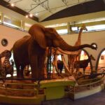 Nairobi National Museum and Snake Park Guided Day Tour - What to Expect from the Day