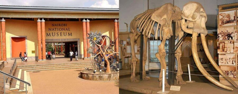 Nairobi National Museum and Snake Park Guided Day Tour - In-Depth Look at the Itinerary