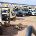 Nairobi National Park and Elephant Orphanage Day Excursions - Who Will Enjoy This Tour?
