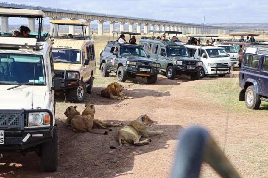 Nairobi National Park and Elephant Orphanage Day Excursions - Who Will Enjoy This Tour?
