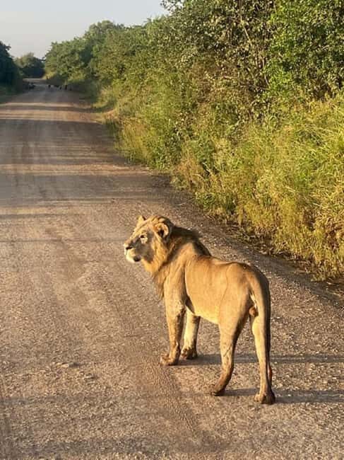 Nairobi National Park, Baby Elephant and Giraffe Centre - What Makes This Tour Stand Out