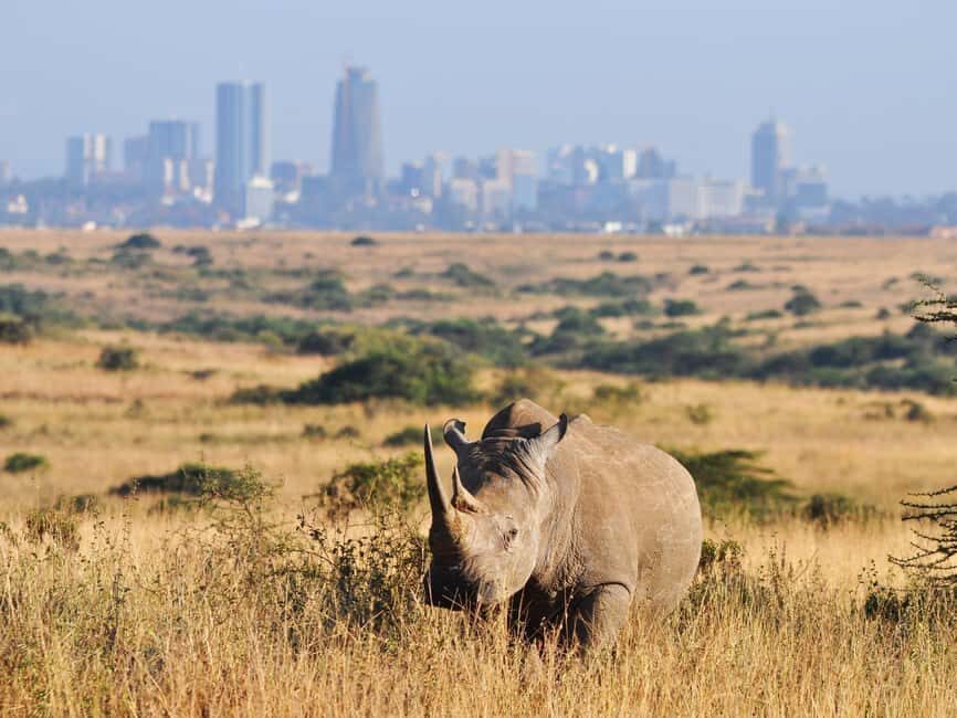 Nairobi National Park Daily Game drives. - Why This Tour Represents Great Value