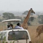 Nairobi National Park David Sheldrick Giraffe center - The David Sheldrick Wildlife Trust: Heartwarming Elephant Stories