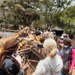 Nairobi: National Park, Elephant Orphanage, and Giraffe Tour - Practicalities and Tips