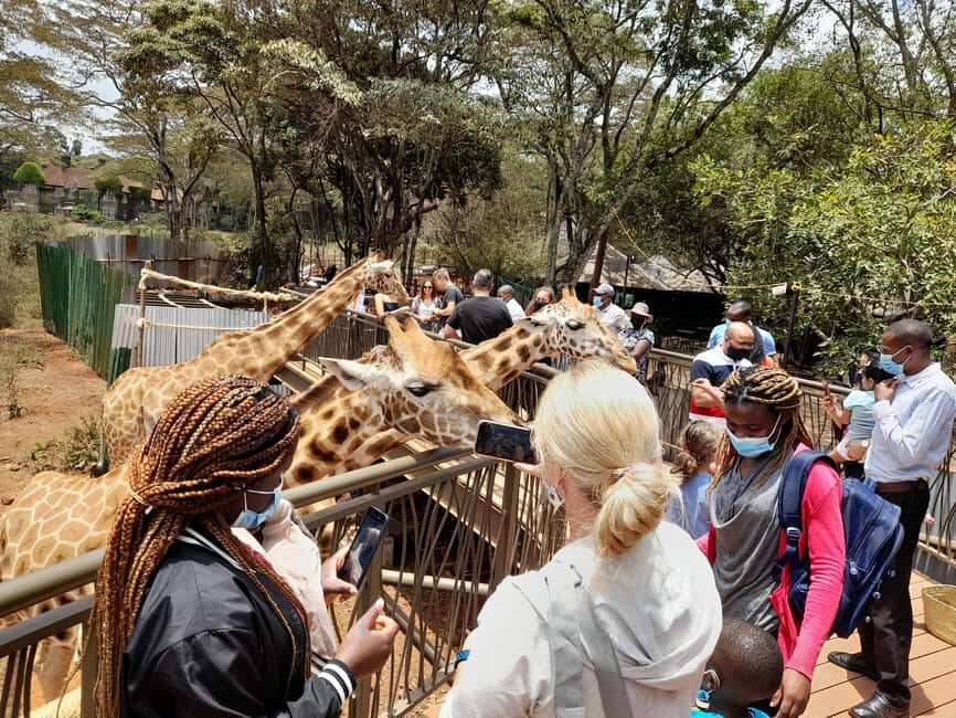 Nairobi: National Park, Elephant Orphanage, and Giraffe Tour - Practicalities and Tips