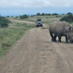 Nairobi: National Park, Elephant Orphanage & Giraffe Center - Practical Details and Tips
