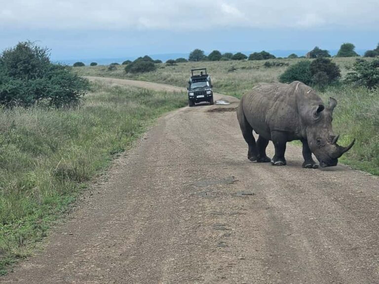 Nairobi: National Park, Elephant Orphanage & Giraffe Center - Practical Details and Tips