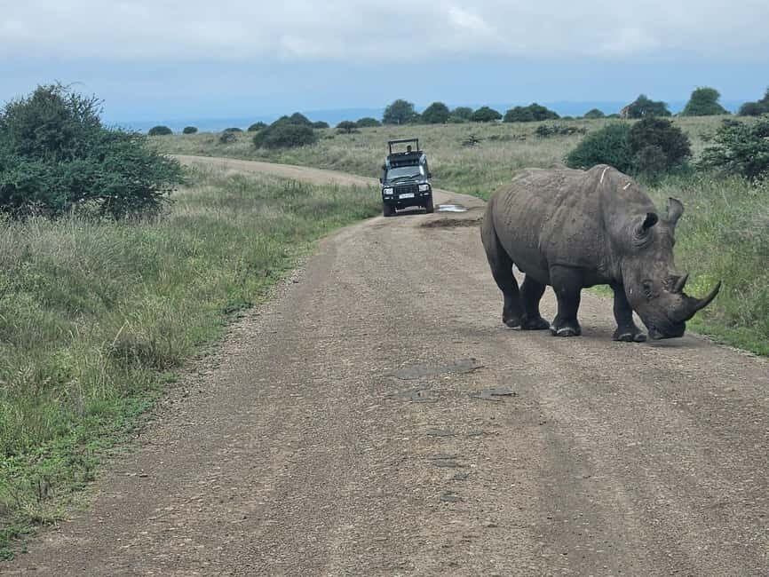 Nairobi: National Park, Elephant Orphanage & Giraffe Center - Practical Details and Tips