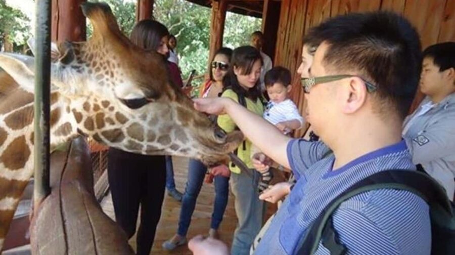 Nairobi National Park, Elephant orphanage & Giraffe Centre - Elephant Orphanage: Heartwarming Encounters