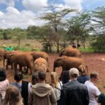 Nairobi National Park, Elephant Santuary & Giraffe center. - What’s Included & Not?