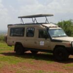 Nairobi National Park Full-Day Tour: Private 4WD with Guide - Key Points