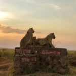 Nairobi national park game drive - Who Is This Tour Best For?