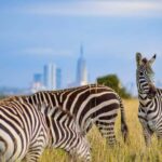 Nairobi National Park, Giraffe Center and Lunch at Carnivore - Who Will Love This Tour?