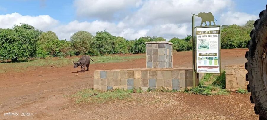 Nairobi National Park Group Tour. - FAQs